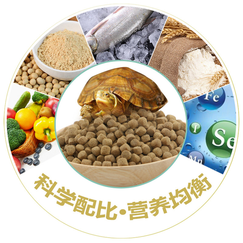 南强牌石金钱龟饲料乌龟配合饲料安黄缘斑点黑颈饲料快大好长