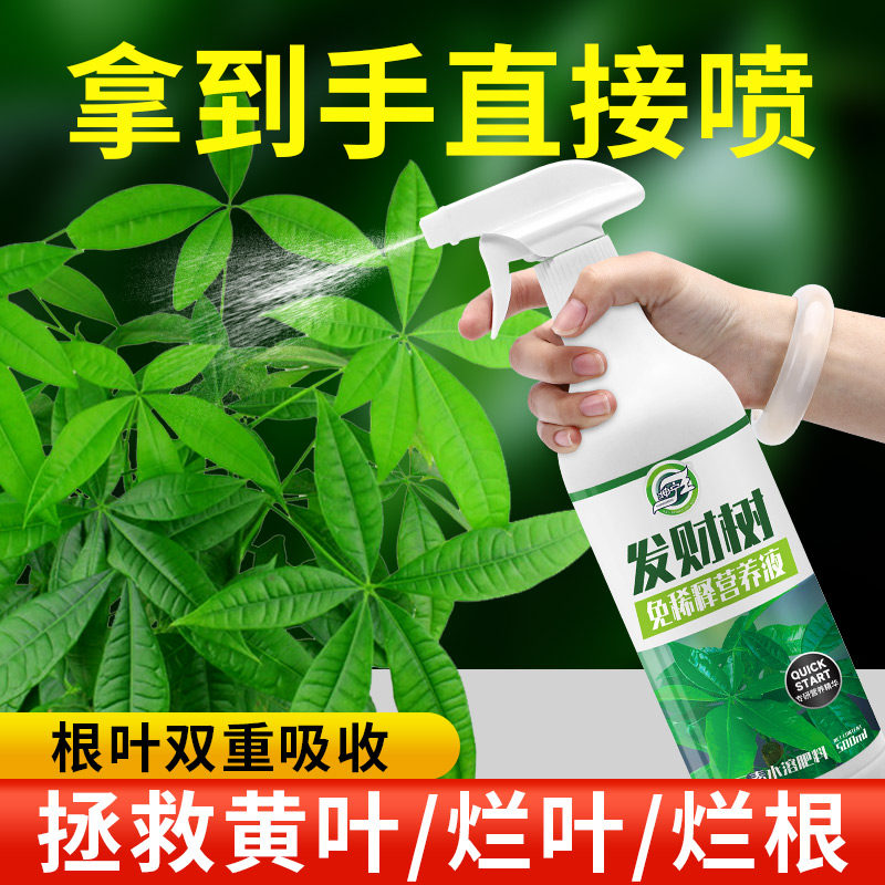 发财树专用营养液免稀释花肥料室内盆栽植物金钱树花卉绿植喷施肥
