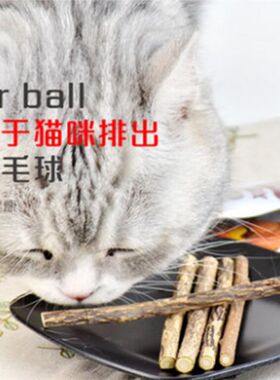 马甸老赵  心然猫磨牙洁齿木天蓼猫薄荷去毛球猫零食5支装