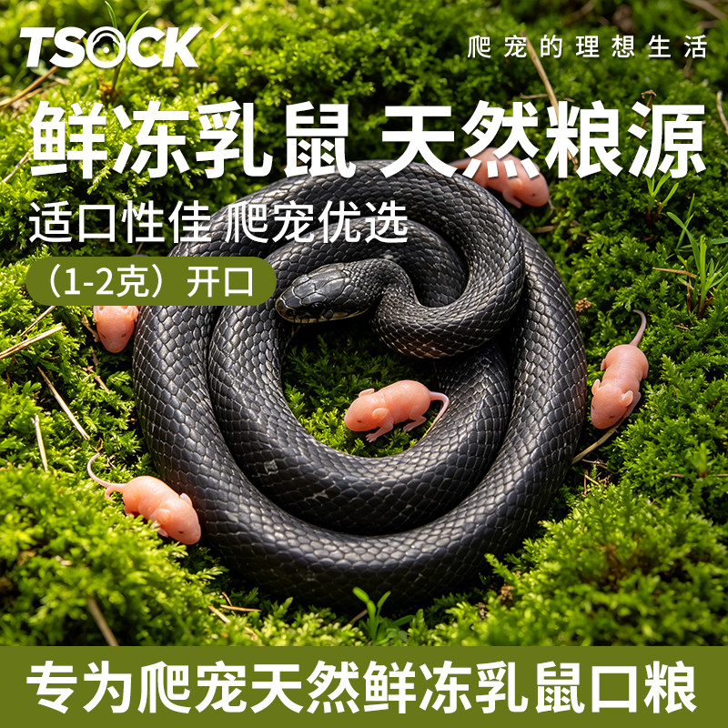 蛇蛇专用蛇粮乳鼠粮爬宠新鲜冷冻