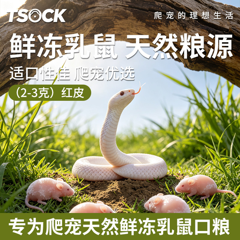 红皮角蛙蜥蜴守宫食物适口性佳