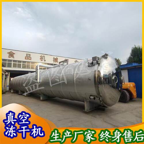 西柚青柠冻干果茶片 冻干水果茶 真空低温冻干机