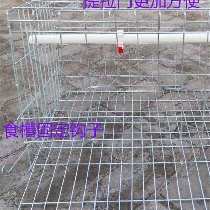 家用蛋鸡笼阳台养鸡笼自动出蛋鸡笼小号养殖家用蛋托收蛋折叠鸡笼