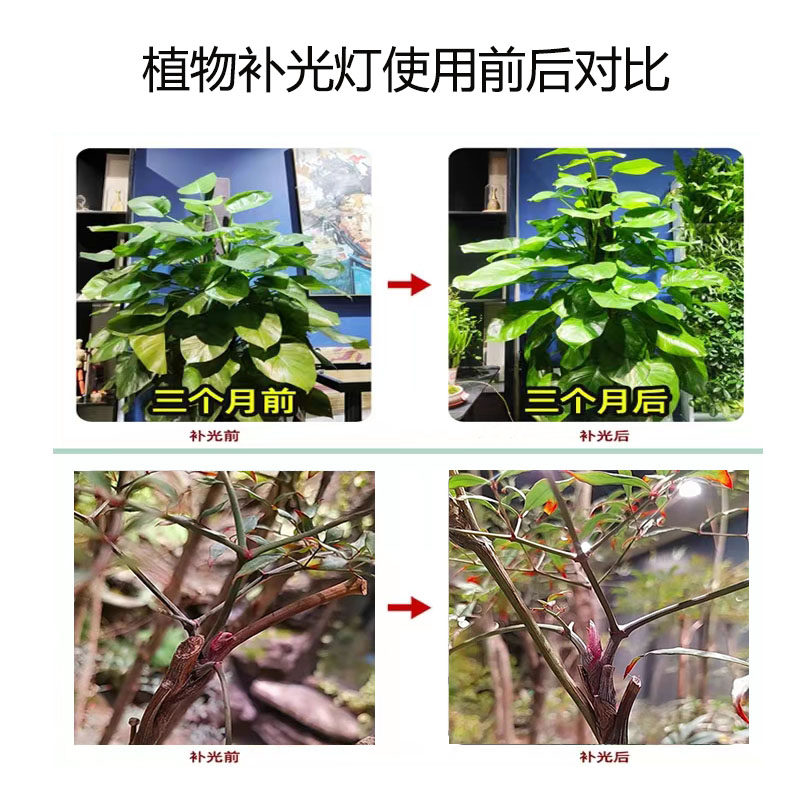 LED全光谱嵌入式绿植墙象鼻生长灯 室内园艺补光照明led植物射灯