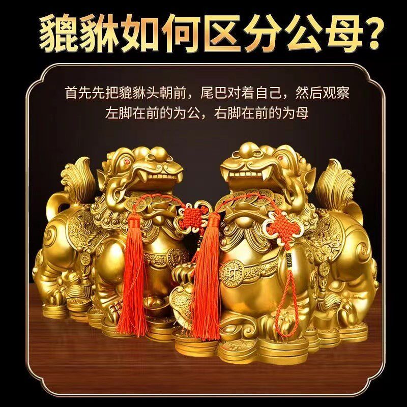 铜貔貅摆件一对公母全黄铜貔恘皮丘客厅店铺装饰品办公室开业招财