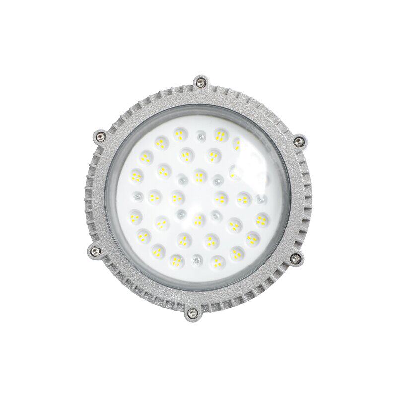 华荣防爆吸顶灯 led 100w隔爆型36W圆形变电站配电仓库化工厂房
