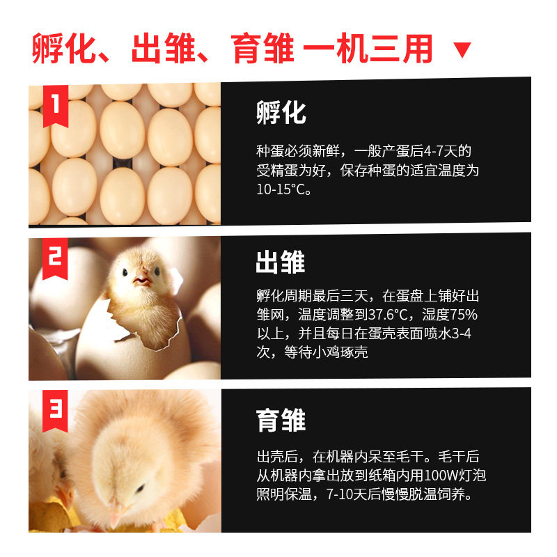 孵化机全自动智能孵化器小型中型大型孵蛋器小鸡鸭家用鸡蛋孵化箱