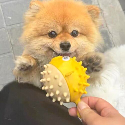 狗狗玩具发声耐咬漏食球磨牙洁齿泰迪比熊宠物幼小狗自嗨解闷互动