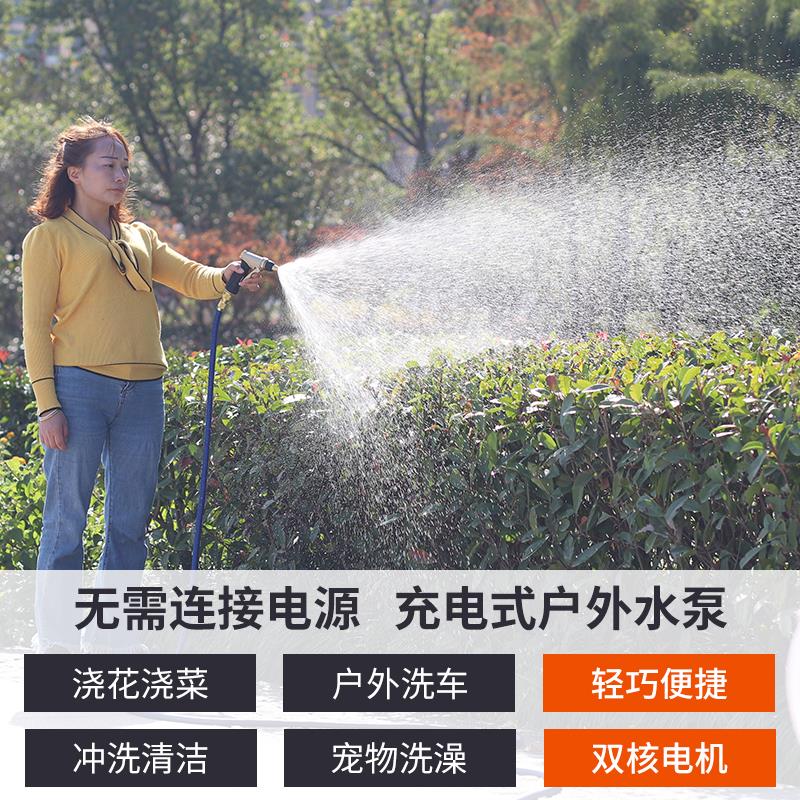 便携式抽水机充电水泵12v户外浇菜水泵家用洗车小型浇花抽水泵