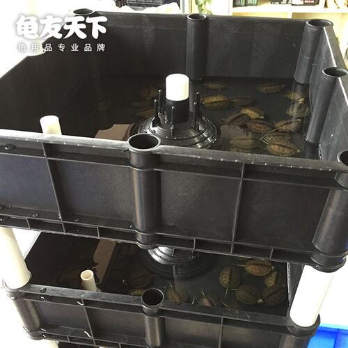 立体龟苗箱乌龟缸龟池带喂食台塑料塑胶中型养龟养殖龟盆饲养盒箱