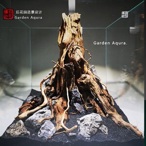 生命之树 沉木造景定制  沉木 草缸 造景沉木 草缸 后花园水族