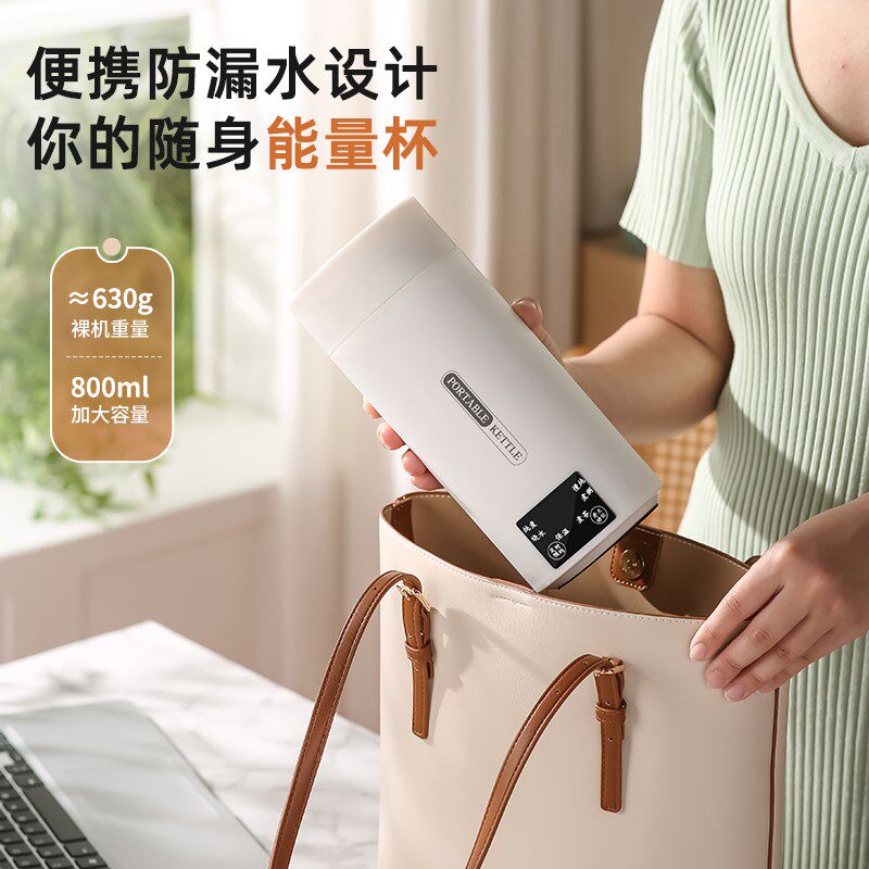 电炖杯多功能电热水杯养生杯便携式煮茶壶煮粥炖煮一体壶大容量