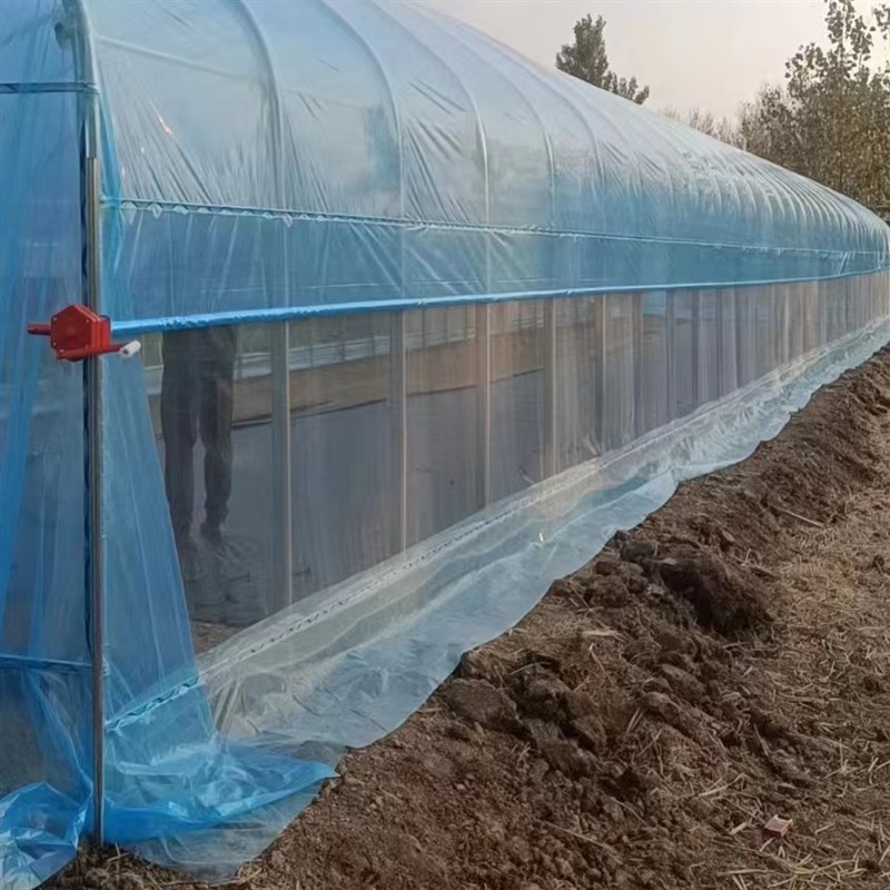 种植大棚支架全套骨架蔬菜育苗棚温室养殖大棚椭圆管钢架鸡棚猪棚