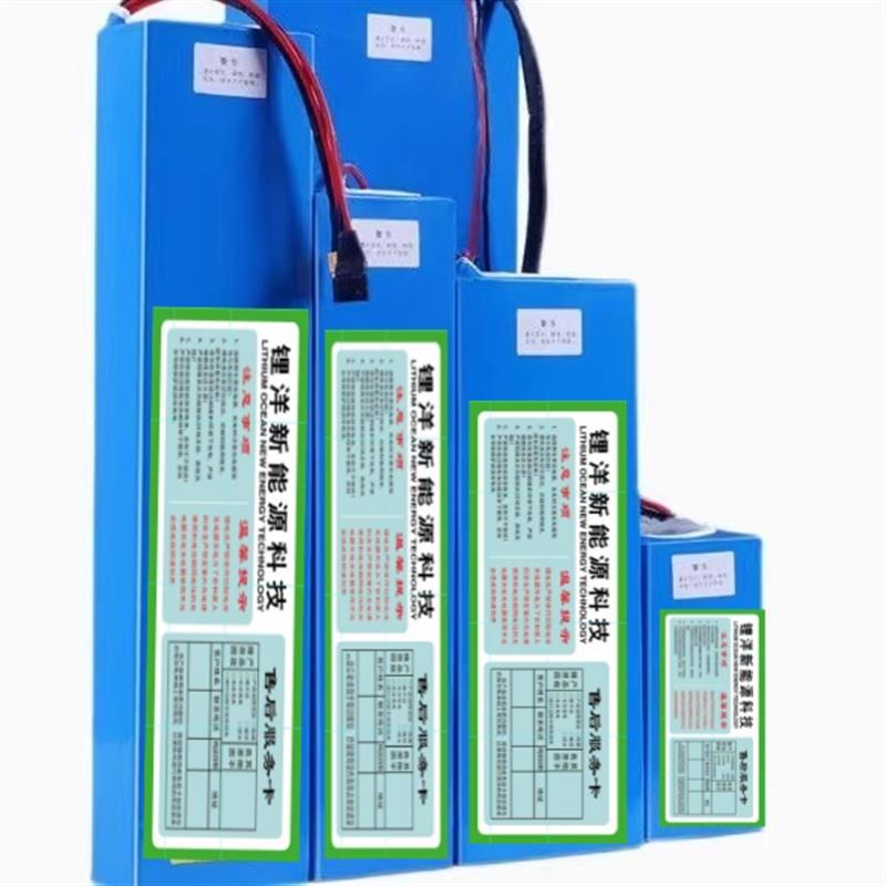 通用滑板车锂电池48V10a12a折叠车36V小海豚60V15a20a代驾车电池