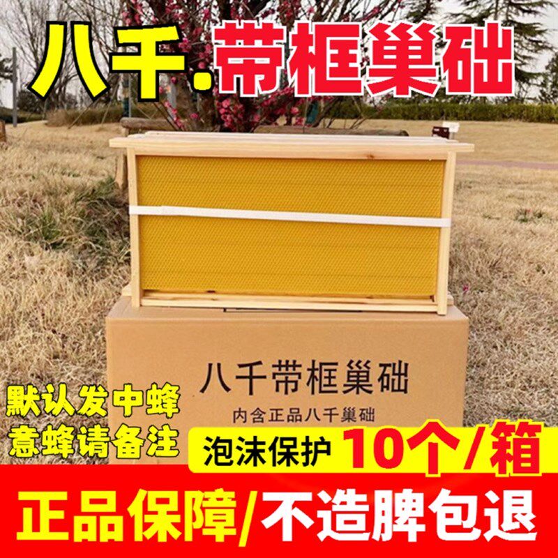 中蜂巢础巢框成品八千带框蜂巢意蜂巢脾蜜蜂巢基蜂箱专用工具养蜂