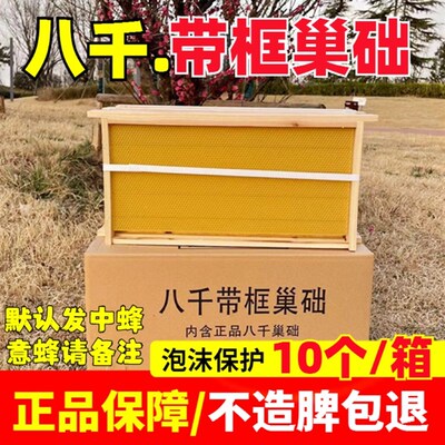 中蜂巢础巢框成品八千带框蜂巢意蜂巢脾蜜蜂巢基蜂箱专用工具养蜂