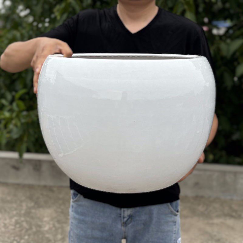 北欧简约圆球大号花盆陶瓷客厅绿植阳台千年木特大口径38种树盆栽