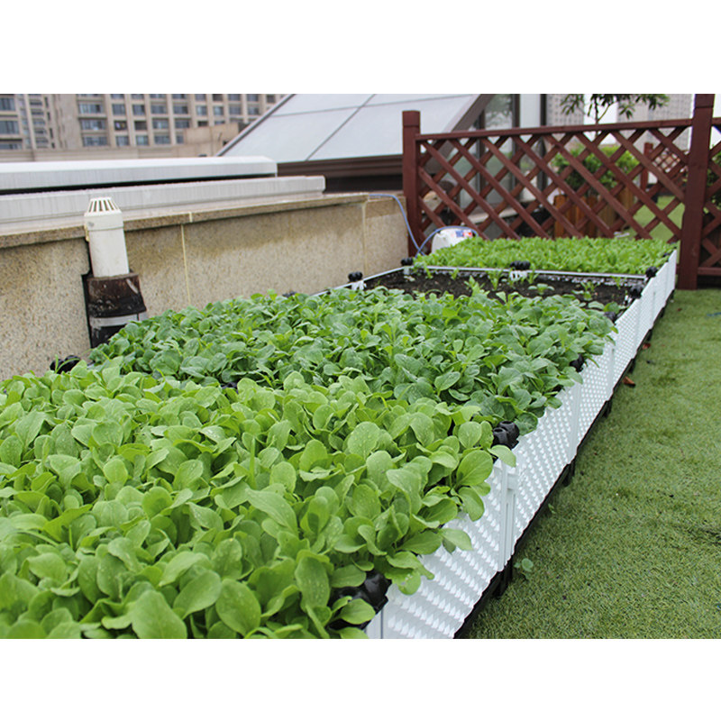 阳台种菜盆菜园塑料种植箱大号黄瓜家用长方花盆西红柿种菜盆植物