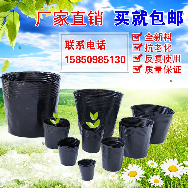 营养钵育苗盆种植穴盘塑料营养袋育苗袋一次性花盆营养杯育苗杯大
