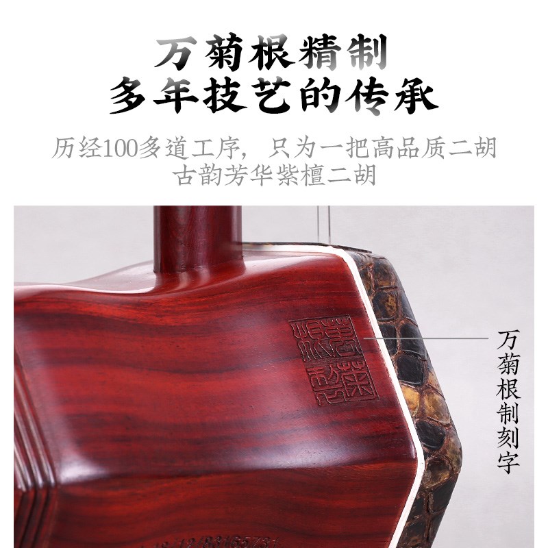 紫檀二胡万菊根二胡琴古韵芳华小叶紫檀木二胡专业演奏考级乐器