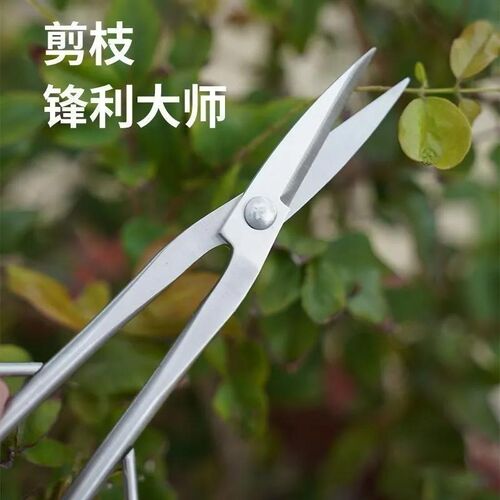 加厚不锈钢园艺兰花剪刀修剪专用叶芽修枝剪盆景插花造型枝叶花艺