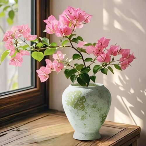 三角梅盆栽带花盆景矮桩老桩花卉四季开花植物桌面室内绿植新品