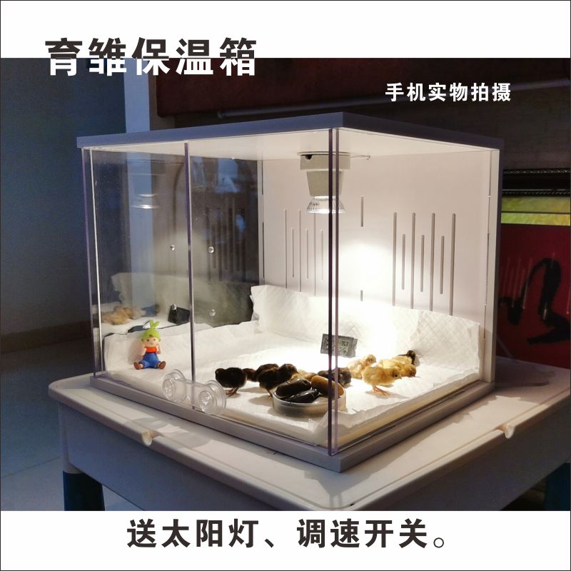 PVC爬箱芦丁鸡迷你刺猬宠物保温恒温饲养箱智能小鸡鹦鹉育雏保温