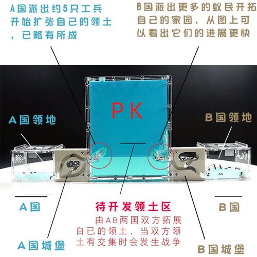 PK版蚂蚁工坊 新对战版蚂蚁城堡宠物蚁巢庄园家园王国窝送2群蚁后