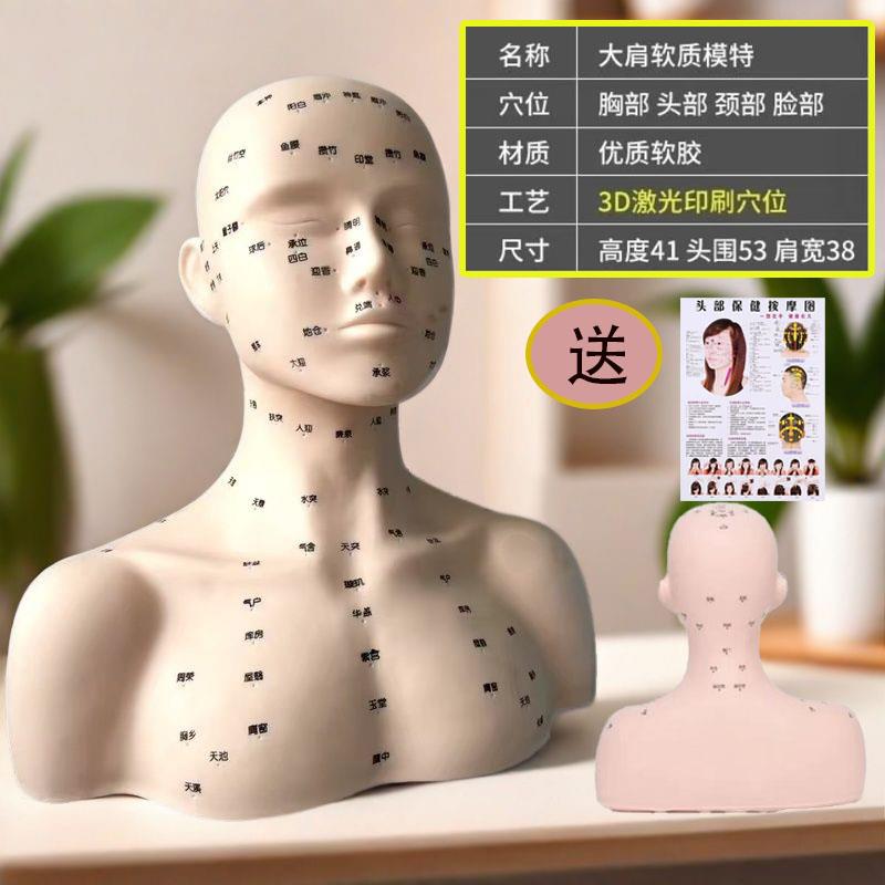 带肩膀皮肤管理人头模型美容院练习脸部穴位按摩手法字体穴位模型