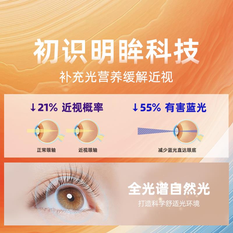 初识灯饰全光谱护眼卧室吸顶灯男孩女孩儿童房灯创意可爱小猪灯具