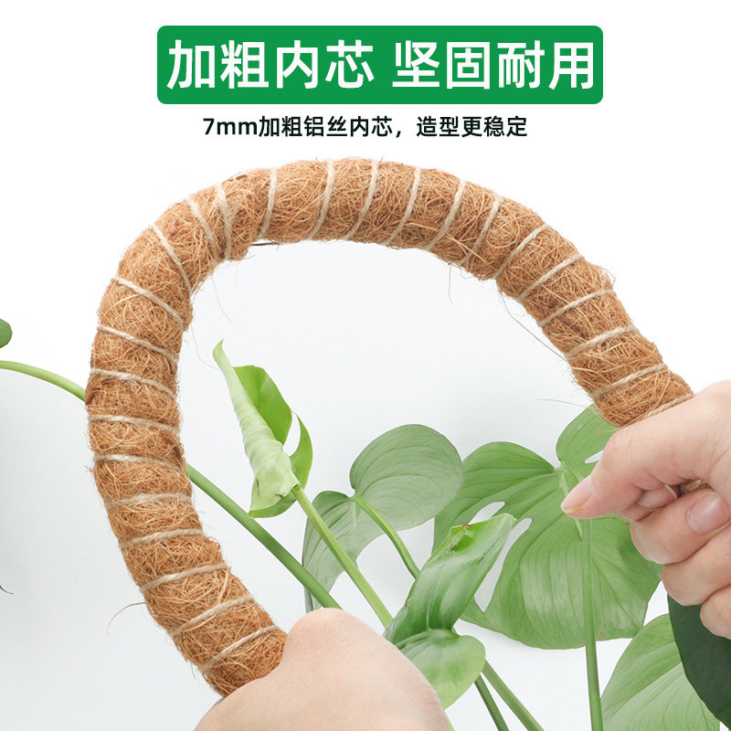 创意龟背竹支撑杆绿萝柱植物支架椰棕棒可变型棕榈柱园艺爬藤支撑