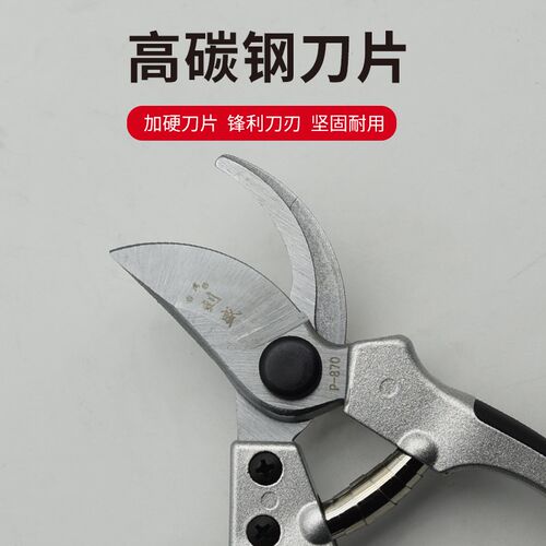 刘盛P-870修枝剪刀果树剪粗枝剪家用手剪花剪园林剪枝剪工具