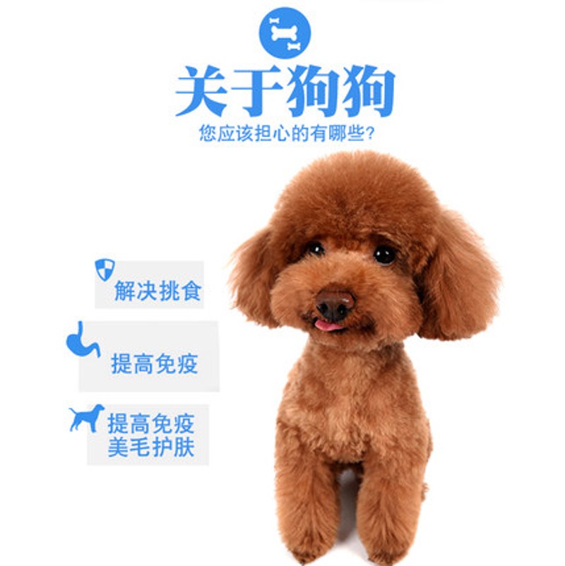 诗可维狗粮泰迪小型犬通用型主粮拉布拉多5斤牛肉海藻味天然狗粮