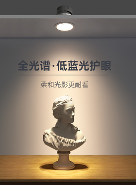 焦距照明嵌入式窄边框led射灯全光谱护眼cob筒灯深杯防眩光洗墙灯
