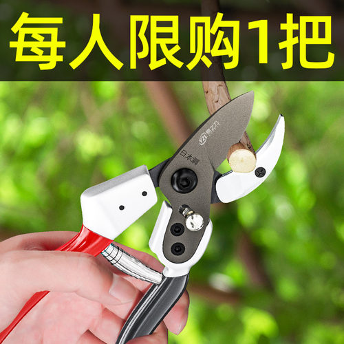 易之力枝剪果树修枝剪刀剪树枝专用园艺花剪艺园粗枝剪树剪子花
