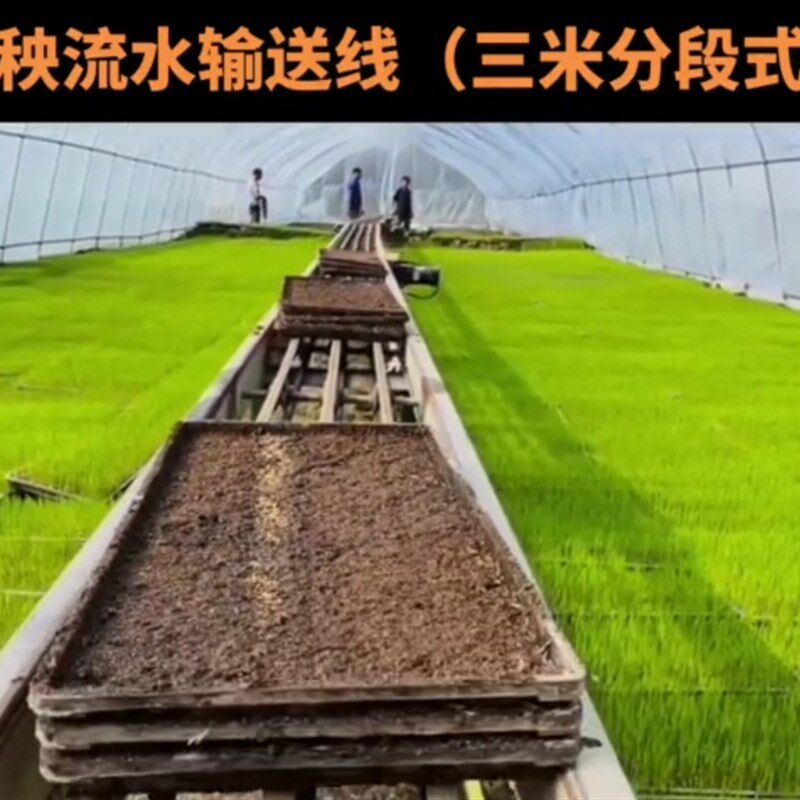 家用水稻运苗机输送秧苗神器自动流水线播种机花卉蔬菜小型工具