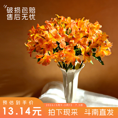 六初水仙百合长花期斗南直发