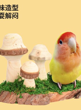 优嗖鹦鹉玩具天然健康鸟笼造景蘑菇站台天然风格啃咬小宠仓鼠造景