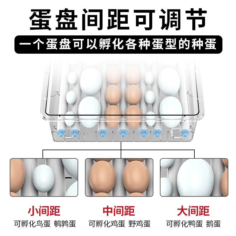 孵化器小型家用全自动智能孵化箱鹦鹉小鸡蛋鸭鹅孵化机鸟蛋孵蛋器