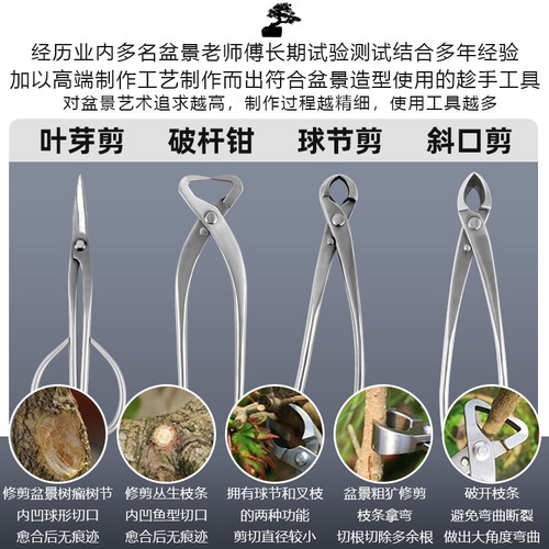 盆景专用工具不锈钢球节剪叶芽球形破杆钳不锈钢园艺剪刀修剪套装