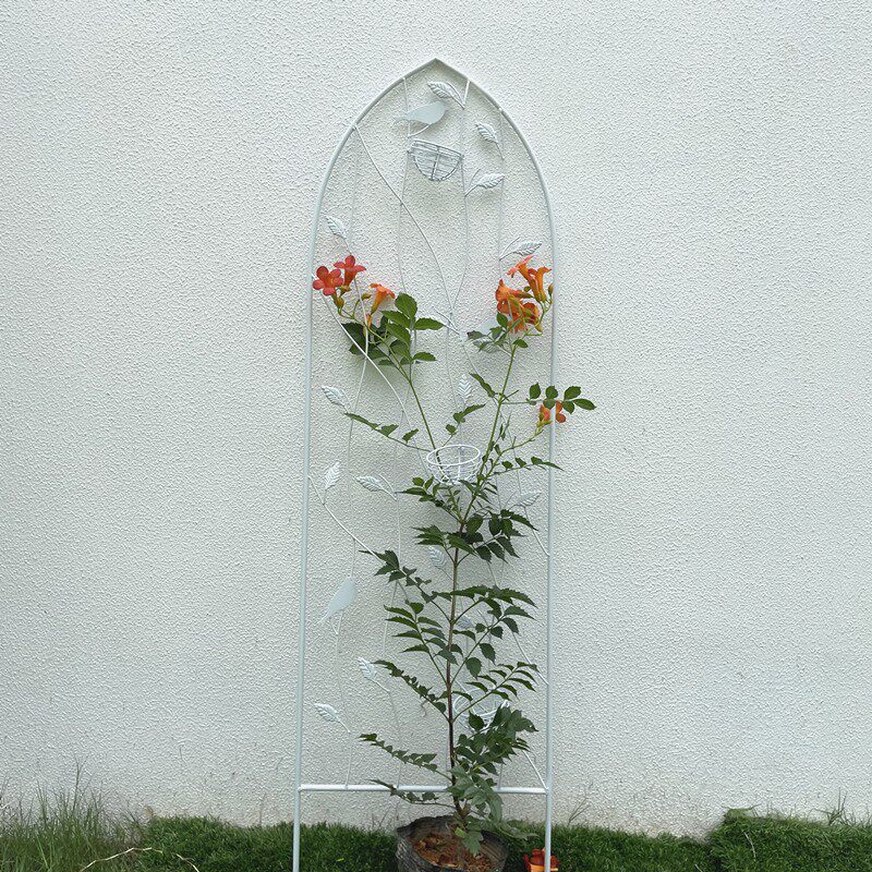 园艺铁艺山乌龟月季球兰铁线莲花架爬藤架子绿萝植物攀爬花支架杆