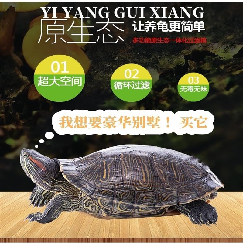 养龟箱透明视窗龟缸白色多层循环过滤养鱼箱鱼缸水族箱加厚养殖箱