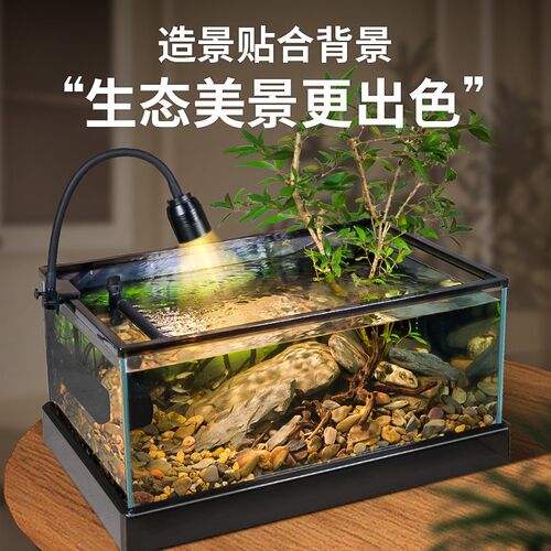 桌面玻璃鱼缸南美背景溪流造景底部排水鱼龟共养生态养殖缸乌龟缸