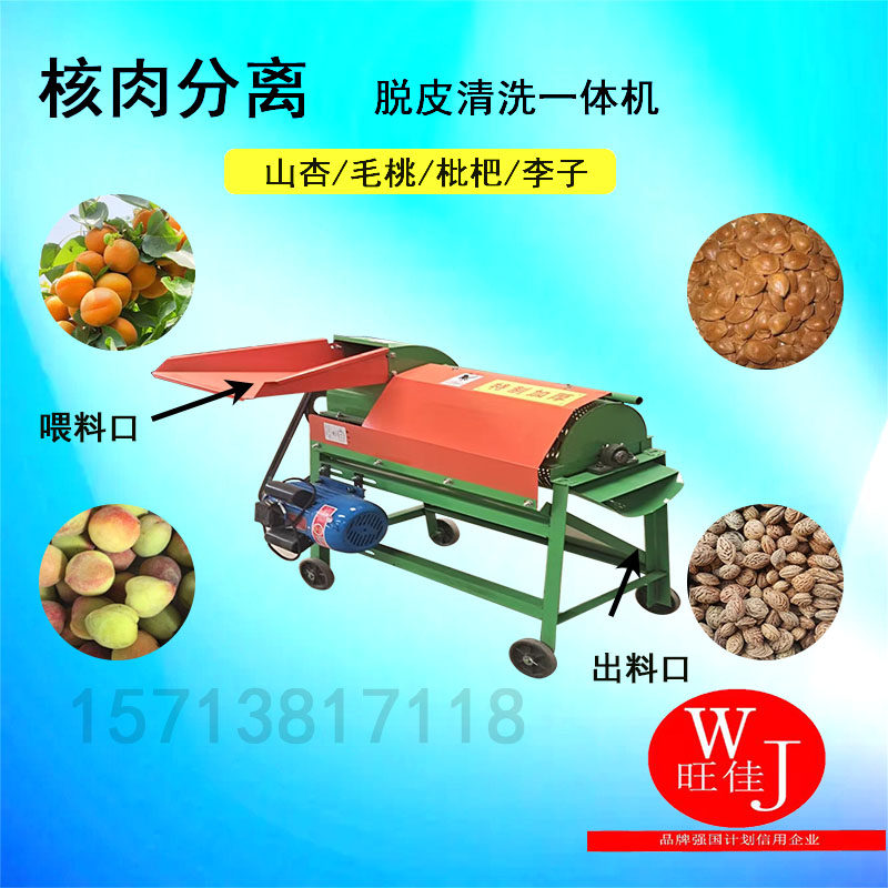 山杏毛桃李子枇杷核肉分离脱皮去皮清洗一体机