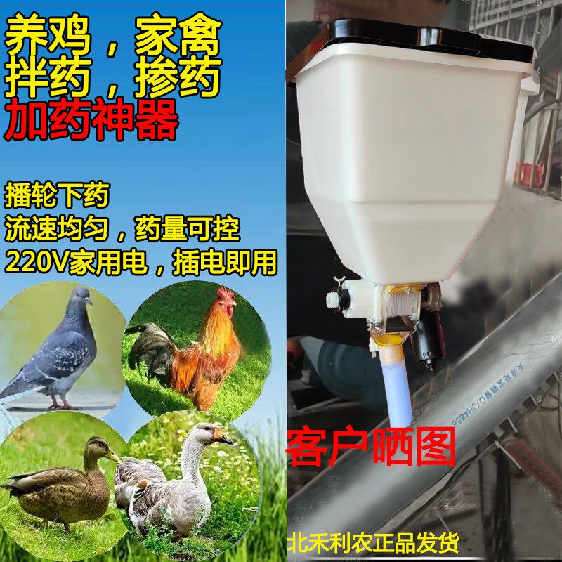 自动喂食器 鸽子喂料 宠物 鸡 鸭 猫 定时 定量 电动下料家用