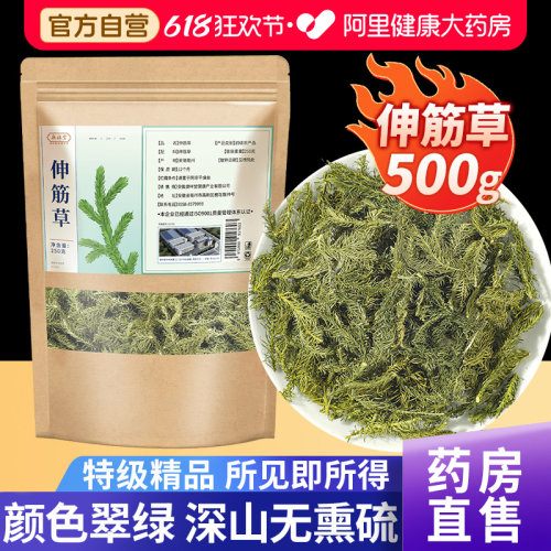 【药房直售】伸筋草500克大份量