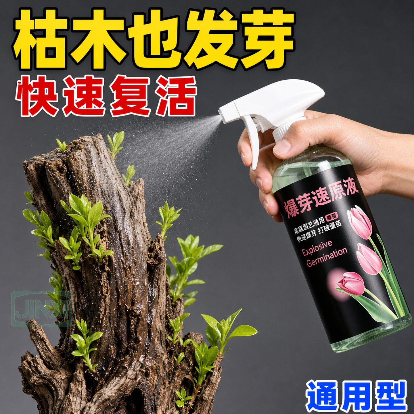 爆芽速原液植物营养液促芽生根