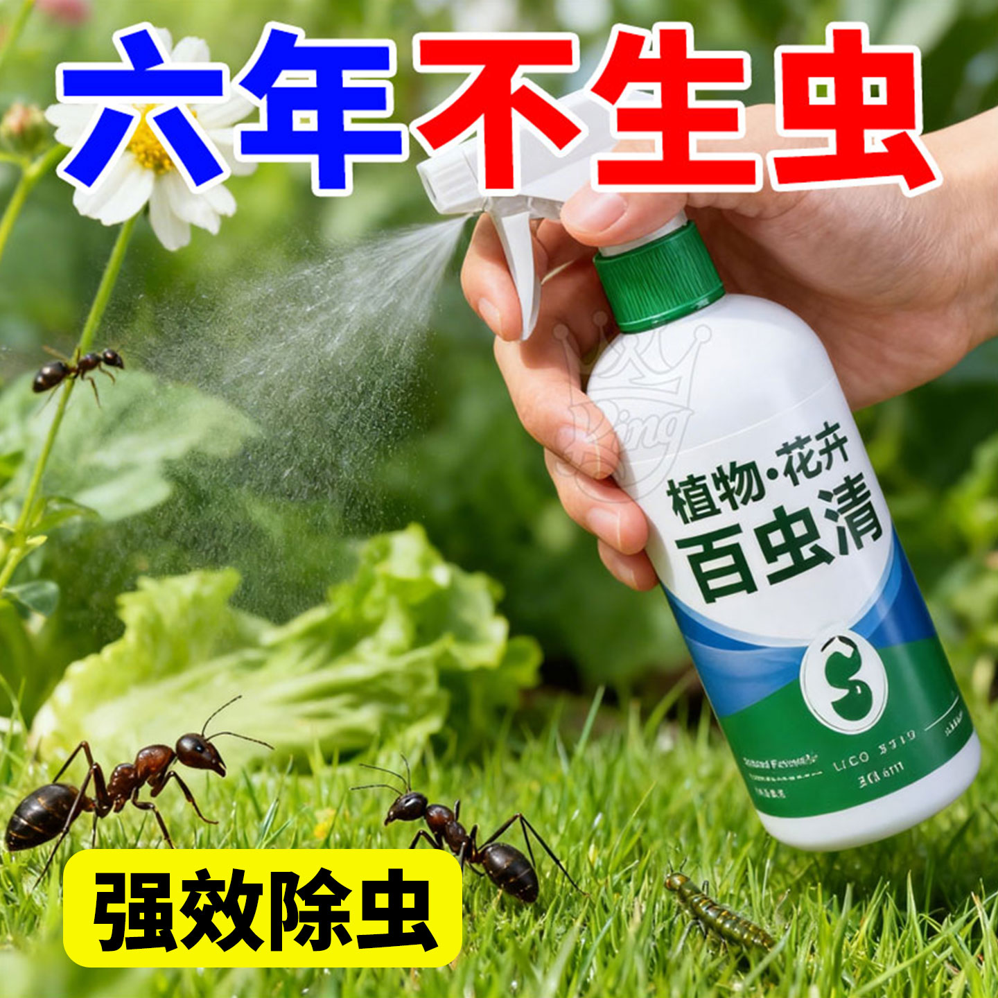 百虫清盆栽家用杀虫剂除虫剂红蜘蛛蚜虫蔬菜植物花卉白粉虱室内