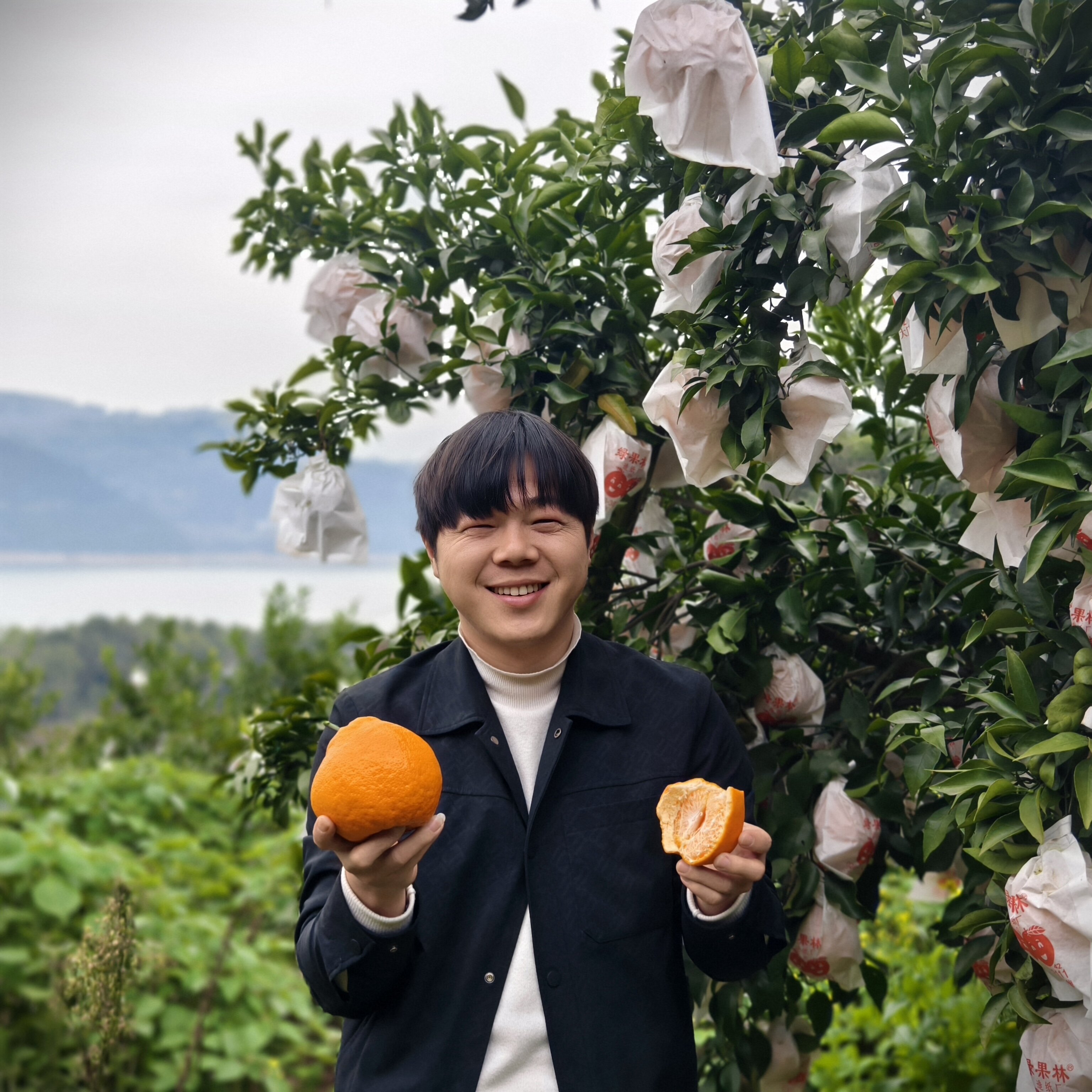 ����   �ҰҸ�  ��Ȼ����  ������� 4.8�� 70mm-79mmС�� 36.9Ԫ