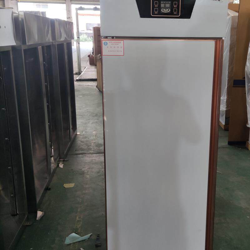 订做高温消毒碗柜商用柜热风循环双门消毒柜碗柜餐厅大柜餐具餐柜